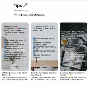 Publications Pinterest proposant des conseils d'organisation liés à la marque demure.ch.