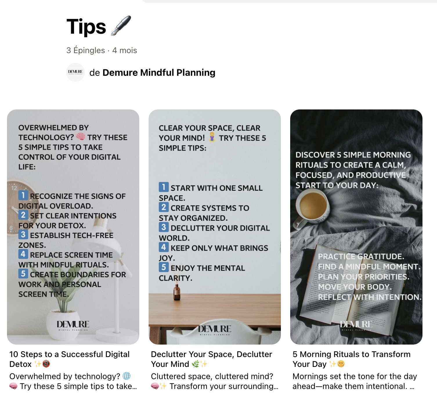 Publications Pinterest proposant des conseils d'organisation liés à la marque demure.ch.