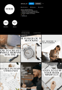 Feed Instagram du profil de demure_ch.